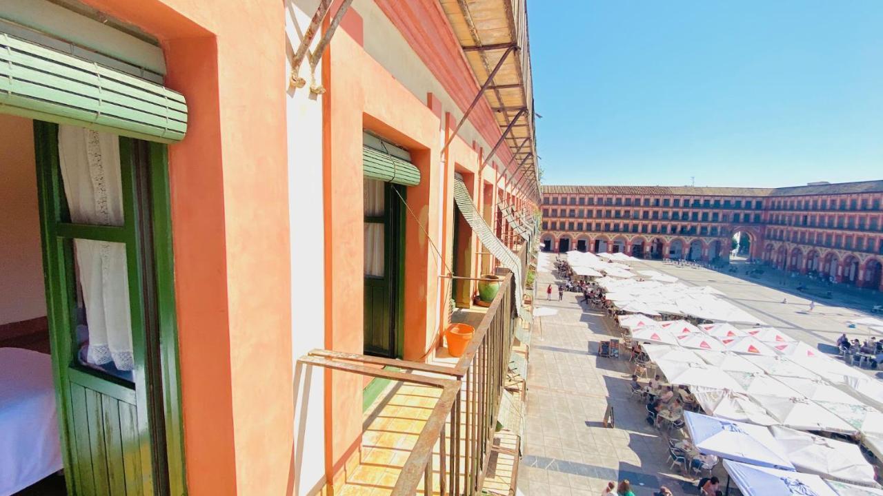 Hostel Plaza Mayor Corredera Cordoba Dış mekan fotoğraf